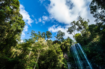 waterfalls in Queensland Australia "Millaa Millaa Falls"