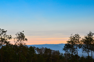 Beautiful sunset in a recreation park in a pine forest