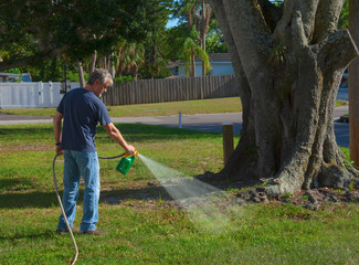 Homeowner man spraying weed killer on his front yard with a hose attachment full of chemicals that...