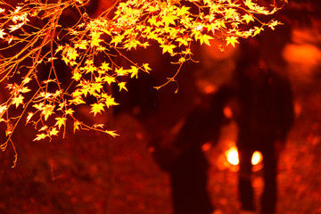 紅葉