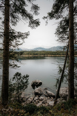 View of Eibsee lake, framed between two tall trees.
