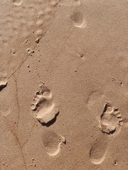 footprints in sand