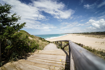 Playa de tarifa  arena natural madera camino