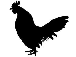 鶏シルエット_1