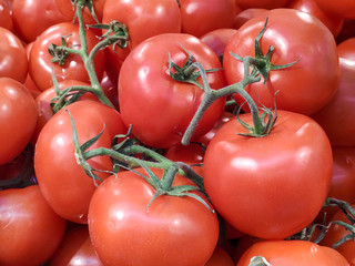 Fresh,Delicious red tomatoes in Summer tray market agriculture farm . Fresh tomatoes, It can be used as background