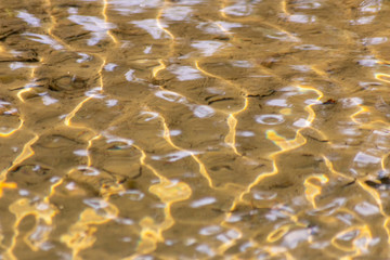 Klares Wasser einer sprudelnden Quelle mit Wasserpflanzen und klarer Bach mit seidigen Wellen für...