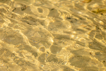 Klares Wasser einer sprudelnden Quelle mit Wasserpflanzen und klarer Bach mit seidigen Wellen für Entspannung und Meditation zeigen schöne Reflexionen auf der Wasseroberfläche mit unberührter Natur