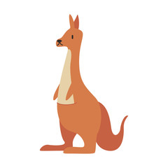 Fototapeta na wymiar cute kangaroo animal