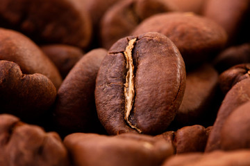 macrophotography of coffee beans, the Texture of coffee beans. 