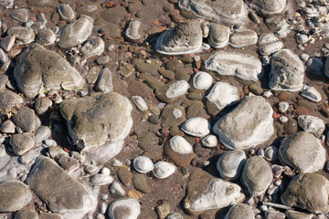 Piedras de rio mojadas a la mitad