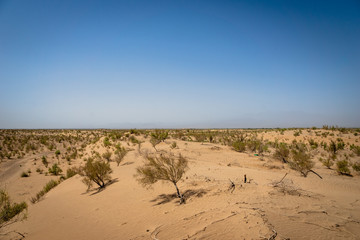 Fototapeta na wymiar desert / sand dune landscape view near Yazd in Iran