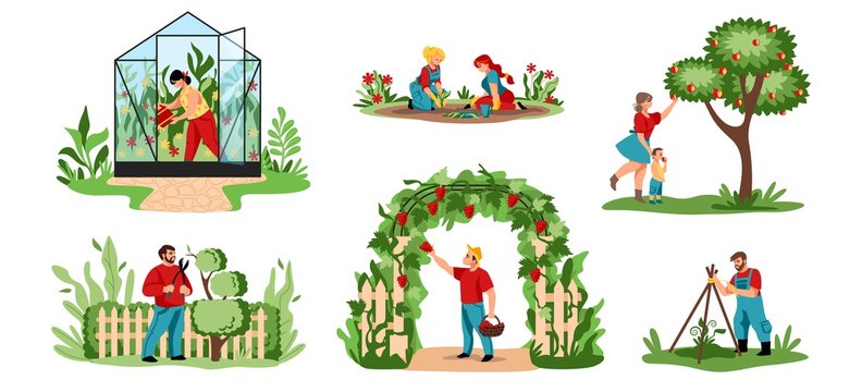 Planting. Cartoon agricultural workers cutting trees and bushes, planting crops and flowers. Vector illustration people working in garden or orchard and growing organic food in greenhouse