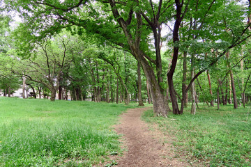 東村山中央公園