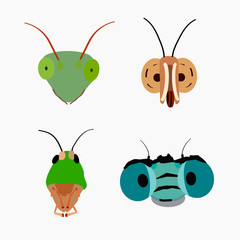 The head of a praying mantis, butterflies, dragonflies and grasshoppers