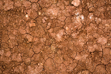 Texture of dried cracked clay. Macro background image of dried clay