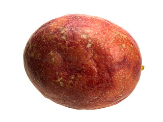 Tropical passion fruit creeper isolated object