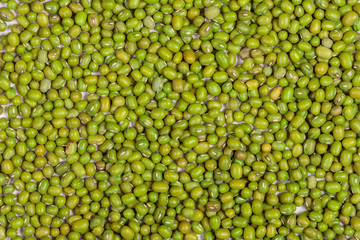 green bean seeds, removed from the top 