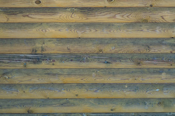 Wood plank texture