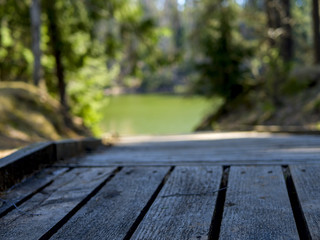 wooden boardwalk near the lake