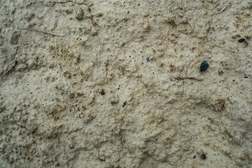 Texture of dried cracked clay. Macro background image of dried clay