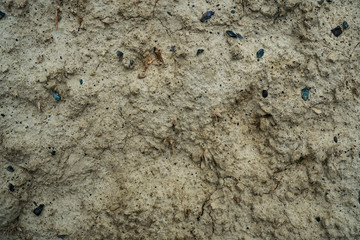Texture of dried cracked clay. Macro background image of dried clay