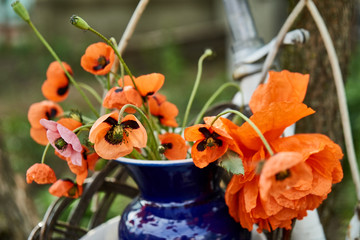 tender bouquet of red beautiful poppies in vase on garden background