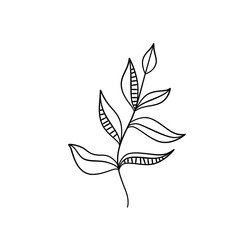 Simple doodle line illustration of leaf