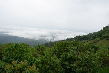 Fototapeta premium The atmosphere of the mountain farm in northern Thailand