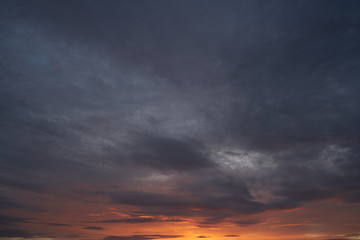 Beautiful cherry blossoms Sakura in spring over blue, bumblebee pollinates cherry flowers. May.
