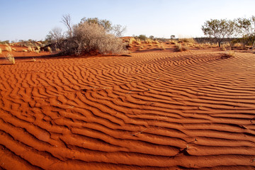 Desolate landscape with sparse vegetation and red sand. Australia