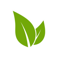 leaf logo - leaf icon vector design template