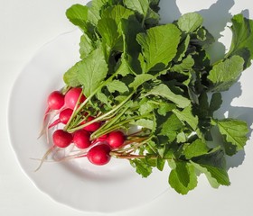 fresh radish on a white dish on a white background
