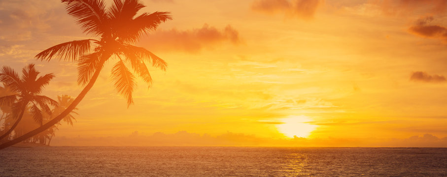 Art Summer vacation background; palm trees silhouette on sunset tropical beach