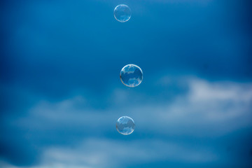 soap bubbles on a blurry background