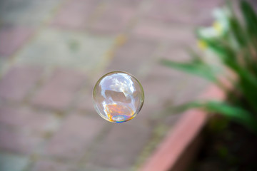 soap bubbles on a blurry background