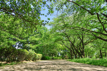 東村山中央公園