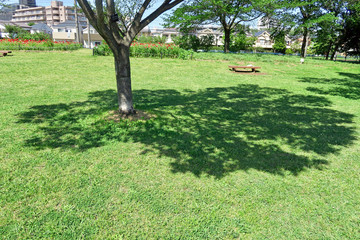 東村山中央公園