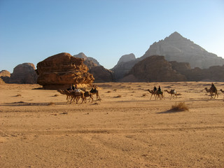 Fototapeta na wymiar A Bedouin camel caravan among the Picturesque orange rocks of Wadi rum in the Jordanian part of the Arabian desert.