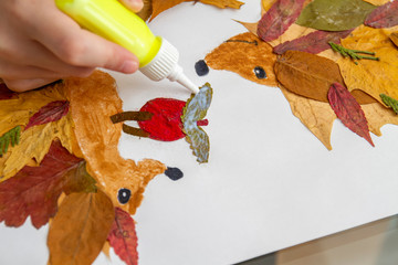 Girl makes an application from dry leaves. Children applique on the autumn theme. Hedgehogs and...