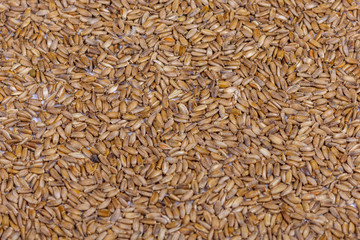 A pile of raw spelt grains in the form of an evil circle 