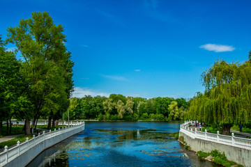 Fototapeta premium summer day time in June city waterfront walking site district marble fence along river and vivid green trees foliage and blue sky background idyllic landscape scenic