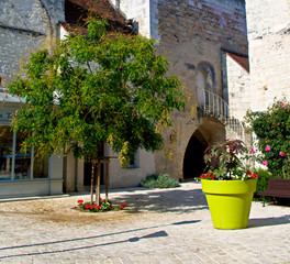 Tree and large plantpot in a courtyard