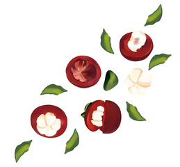 Set of fresh mangosteen in motion on white background. 3D realistic mangosteen. Whole and halves mangosteen with green leaf. Top view. Illustration