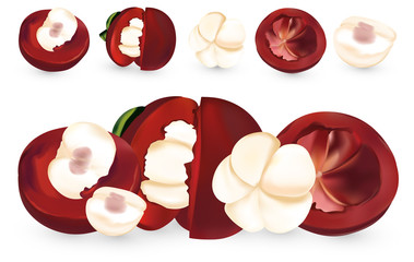 Set of mangosteen on white background. Freshly picked fruits. Realistic mangosteen are whole and cut in half. Natural product. 3D illustration