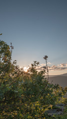 Amanecer tras arboles con los primeros rayos de sol de la mañana