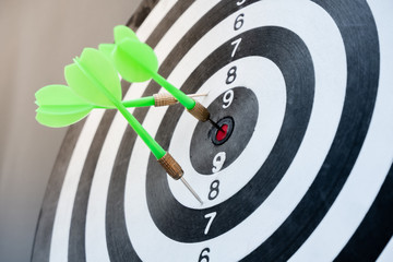 The arrow in the middle of the dartboard Demonstrate the concept of a successful business goal