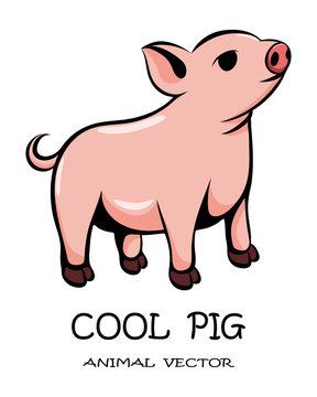 Color vector of cute pig eps 10