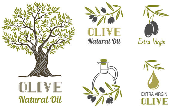 Vector set of olive oil  labels. Olive tree, branches and drop