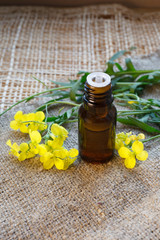 Sinapis alba (mustard) seeds essential oil (eatract) bottle on canvas background. Selective focus, copy space
