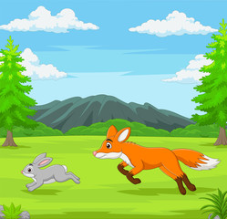 The fox is chasing a rabbit in an African savanna